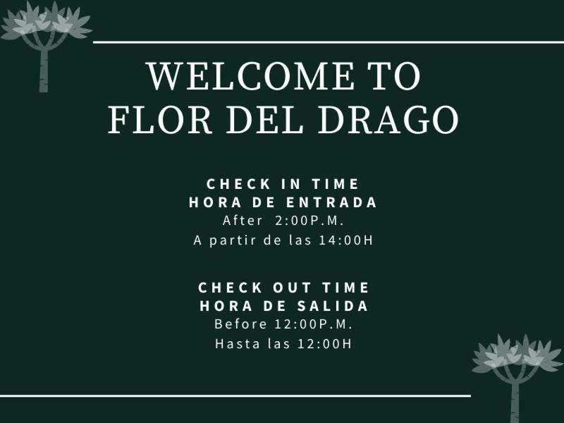 Flor Del Drago Appartement Icod De Los Vinos Buitenkant foto